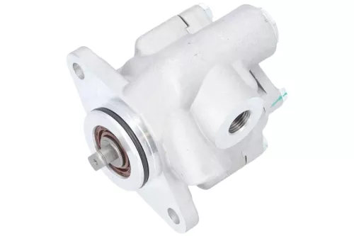 PSA / Stellantis Servo pomp 4007Y8 (C252SB)